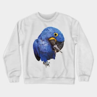 Hyacinth macaw Crewneck Sweatshirt